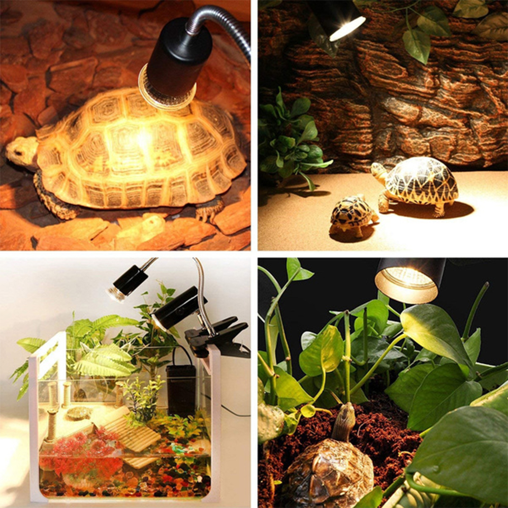 25/50/75W UVA+UVB 3.0 Reptile Lamp Bulb Turtle Basking UV Light Bulbs Heating Lamp Amphibians Lizards Temperature Controller