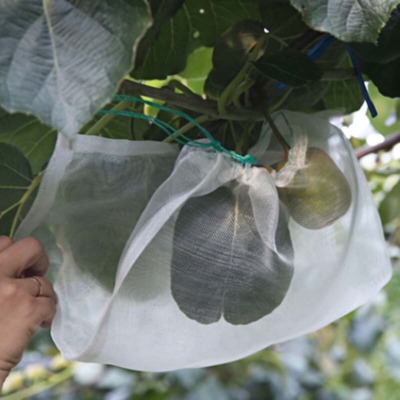 Sac de culture Anti-oiseau plante sac de Protection cordon Nylon maille lutte antiparasitaire agricole