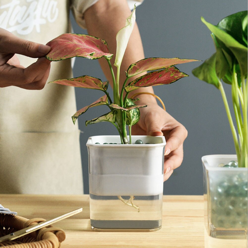 Lui Self-Watering Bloempot Automatische Wateropname Succulent Aquacultuur Transparante Ronde Plastic Hydrocultuur Bloempot