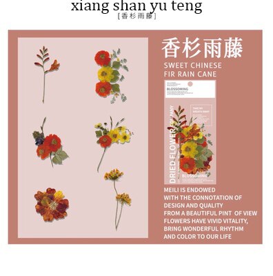 Jianwu 6 ark blomst stor klistermærke pakke plante journal klistermærke dekorative klistermærker note collage papir papirvarer: Xiang shan yu teng