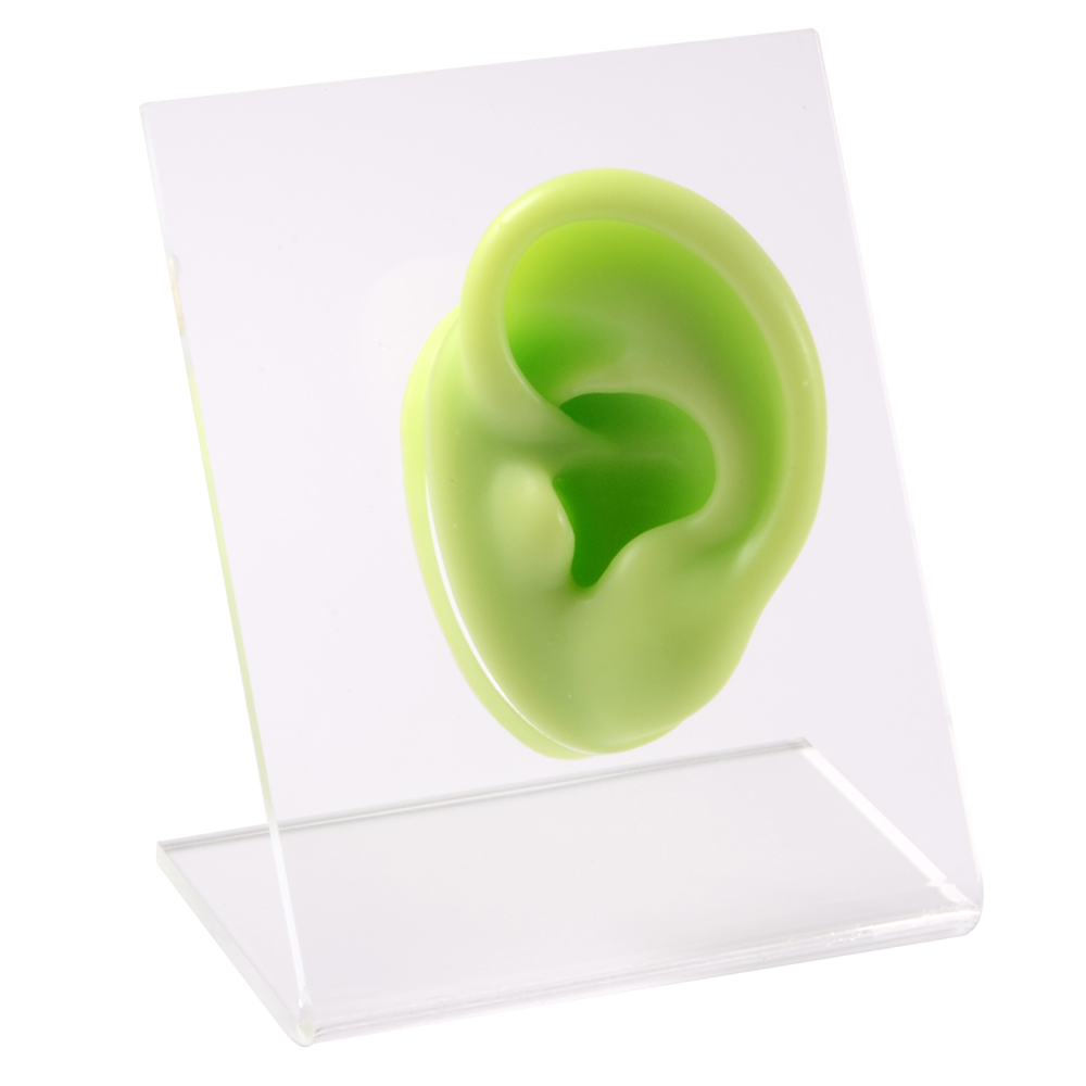 Modello di naso dell&#39;orecchio in Silicone con bordo trasparente pratica professionale piercing strumenti orecchini orecchini a bottone Display può essere riutilizzato gioielli: Green Left