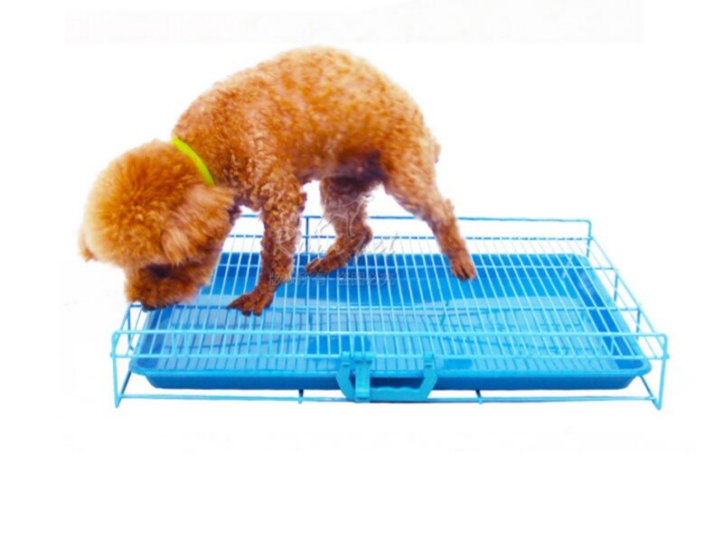 Hund toalett jern bånd brett bamse lov hund hund potte hund urinal toalett kjæledyr rengjøringsmateriell