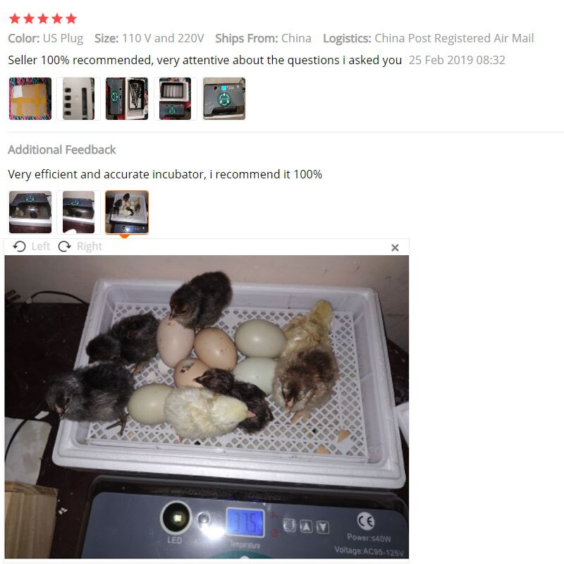 Full Automatic Incubator Brooder Farm Hatchery Machine 12 Egg Hatcher Chicken Automatic Egg Incubator Goose Bird Quail Brooder