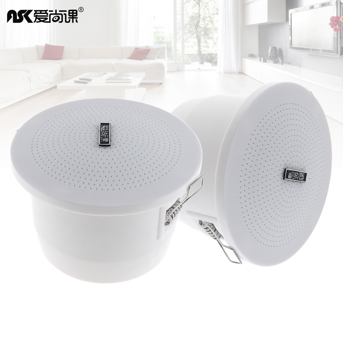 KS-813 Wall-mounted Hifi Big Ceiling Speaker background music DJ Soundbar TV speakers outdoor loudspeaker For Store Park Etc