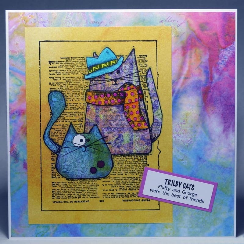 Clear Stamps Adorable Alpaca Penguin Cat Wolf Bird Complex Word Code Flower Tea DIY Scrapbooking Craft Cards