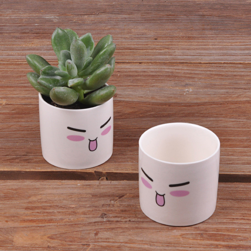 6 Styles Ceramics Planter Flowerpot Cute Expression Garden Succulent Plants Desk Flower Pot Garden Decor Ceramic Vase: b