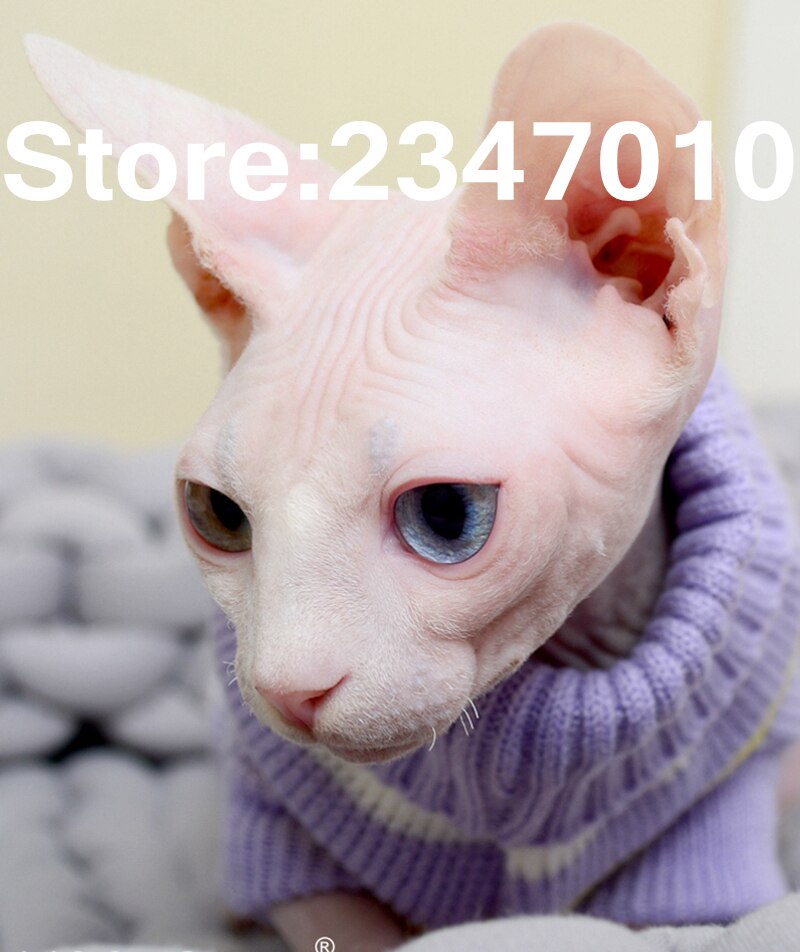 [mpk kæledyr] sphynx sweater, tøj til hårløse katte, hættetrøjer til katte til katte, tøj til katte, små hundetøj