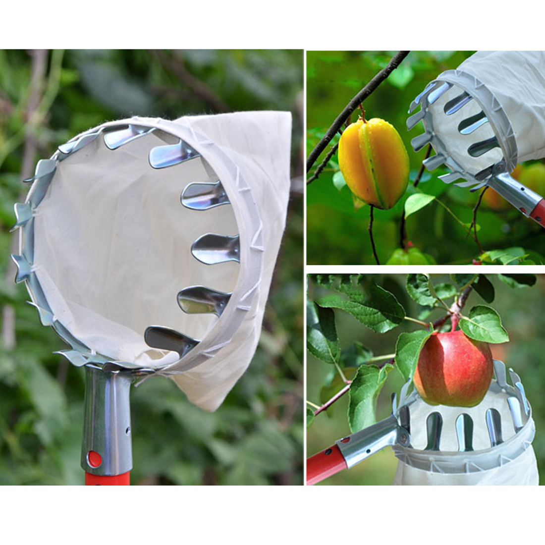Cueilleuse de fruits, outils de jardin, pratique pour jardinage des pommes et de la pêche