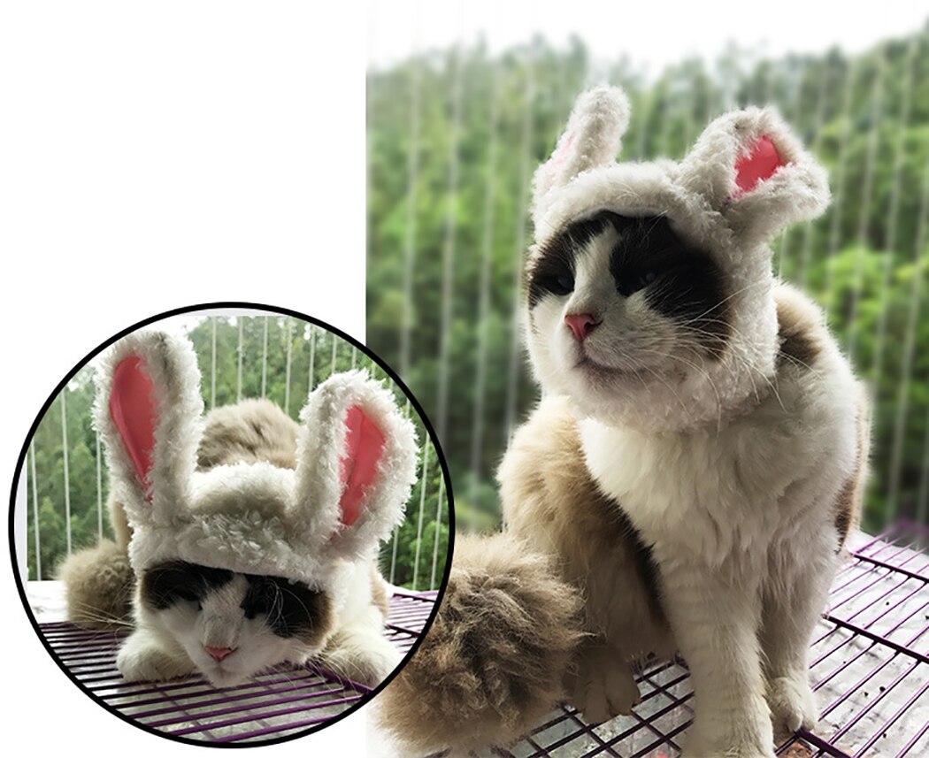 Peluca decorativa con Orejas de conejo peludas para mascotas, disfraz de gatito, adorno de conejo, novedad de