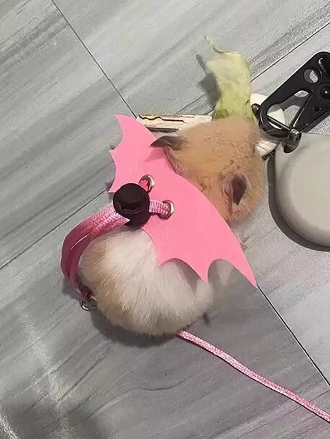 1 st kleine dieren hamster trekkabel riem, hamster bloemtak rat uitgaan riem