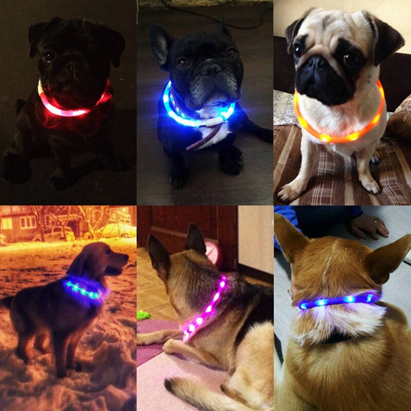 Halsband för hundar usb uppladdningsbart säkerhetsvarning silikonhalsband led-ljus lysande hundhalsband glödande hundhalsband