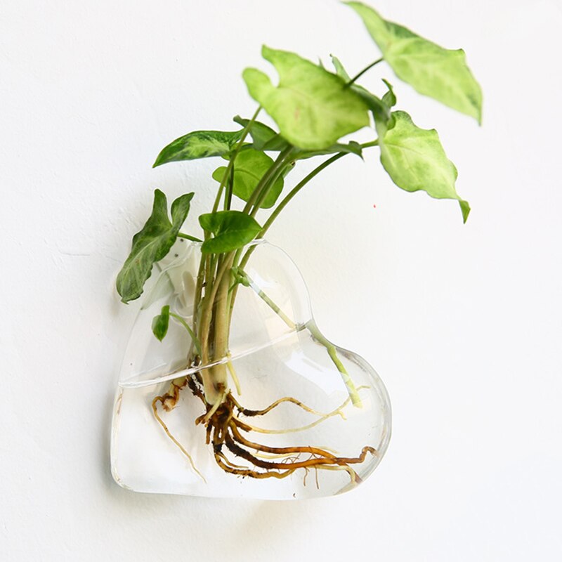 Goede Gezonde Muur Opknoping Vis Kom Glazen Wand Gemonteerde Plant Pot Aquarium Decoratie Planter: love heart shaped