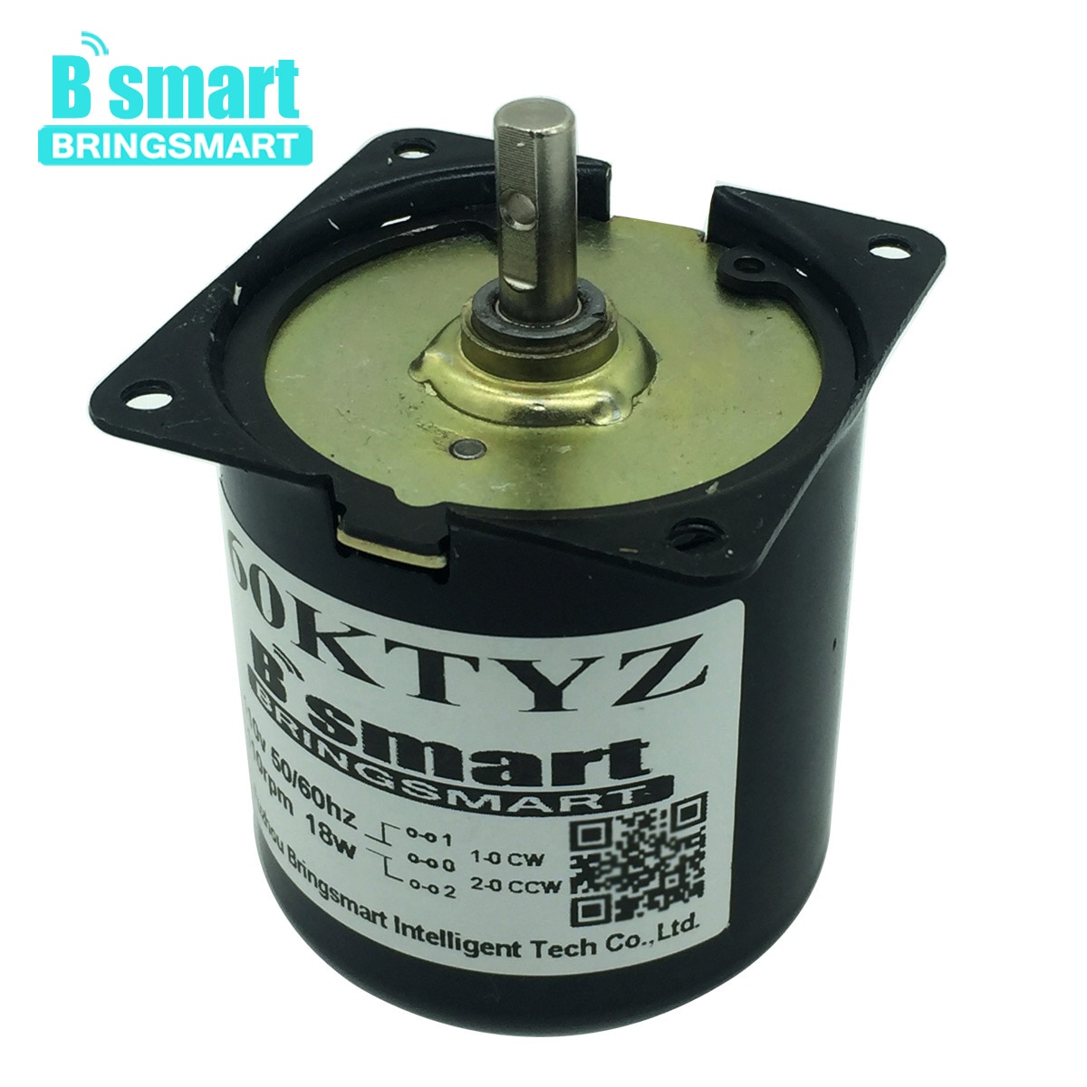 Bringsmart 110v 220v synkron växelströmsmotor mini elmotor reducerare låghastighets metallväxelmotor för grill