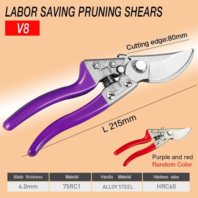 Plant Trim Horticulture Hand Pruner Cut Secateur Garden Pruning Shears Trimmers Secateurs Hand Pruner Clippers Garden Scissors: B