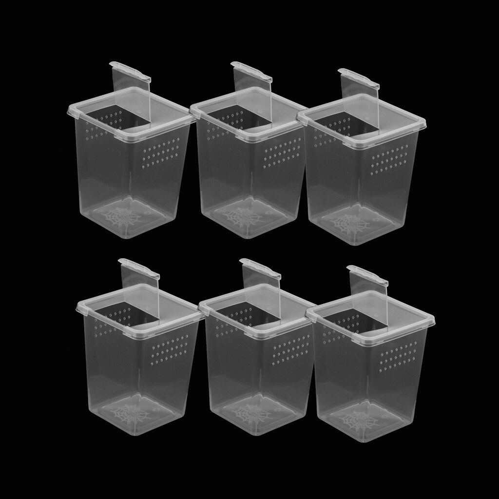 6/8/10Pcs Clear Plastic Reptile Insect Spider Habitat Feeding Box Container Hatching Tank Reptile Tank Habitat Case DURABLE