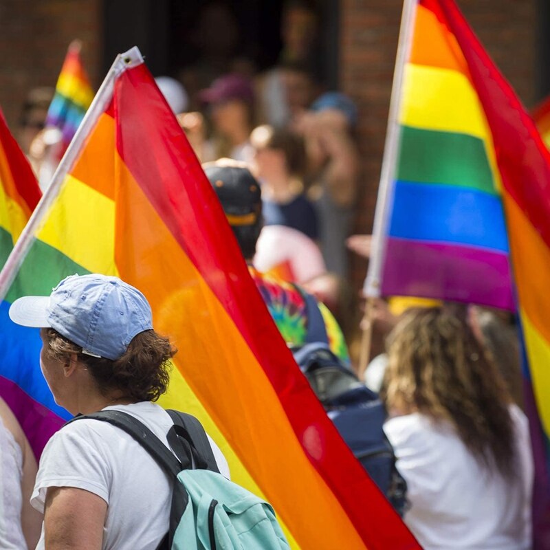 12 Pack Gay Pride Regenboog Vlag Set Grote Vlag Banners Bunting Vlaggen En Kleine Hand Vlag Met Sticks Voor Party parade