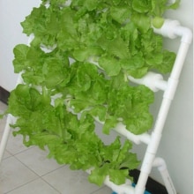 Macetas de vivero, 50 Uds., malla para verduras, cesta para jardín, cultivo vegetal