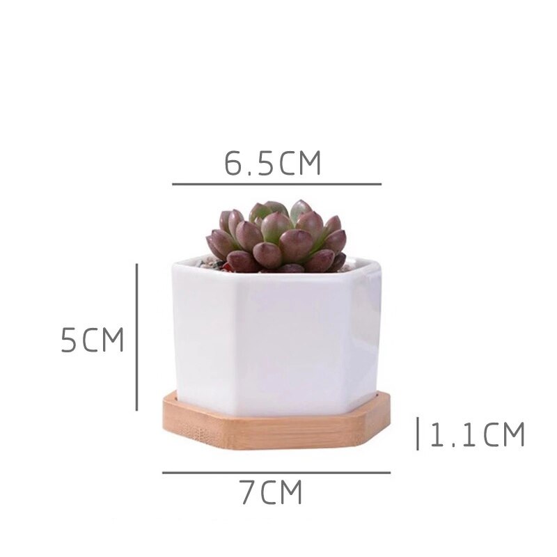 Hvid porcelæn sukkulenter potte grønne planter urtepotte med bambus bakke kontor bordplade planter kortfattet vase boligindretning: U