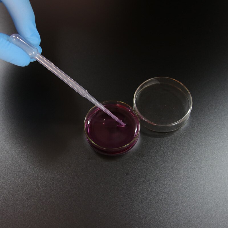 10 stk 60mm glas petriskål laboratorie kemisk biologi petriskål