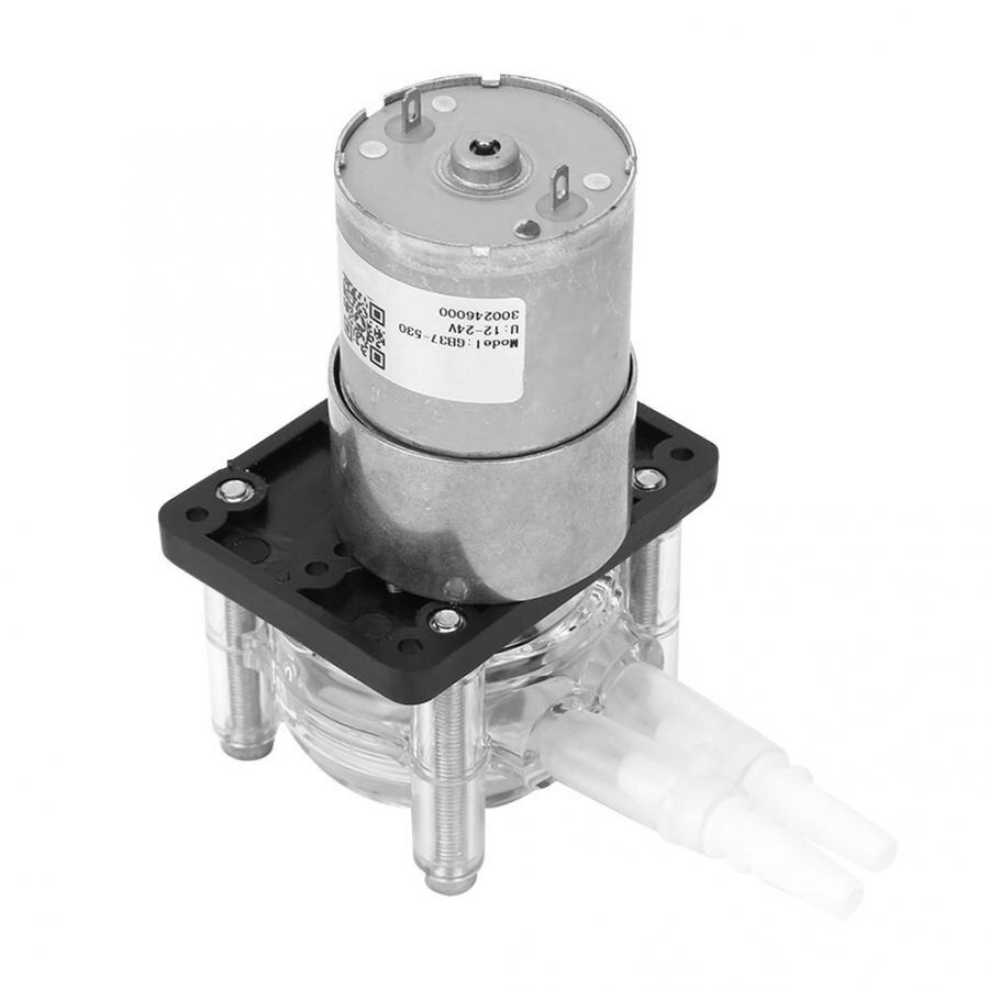 DC 24 V Grande Flusso Pompa Peristaltica Dosaggio di Vuoto forte Aspirazione Autoadescante Pompa con Motore anti-Corrosione pompa bomba