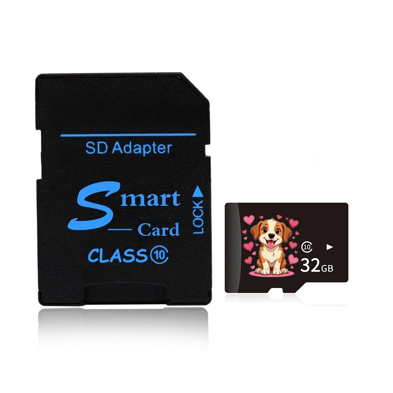 10PCS TF Card Class10 128GB 256GB Cartao De Memoria 32GB 64GB 16G SD Card 8G 4GB 2GB Flash Memory Card for Digital Devices