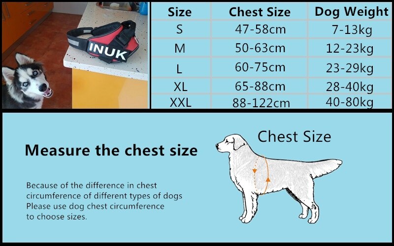 Uprząż zwierzęca zestaw JULIUS K9 smycz dla psa dla małego dużego wzrostu szkolenia Pet Safety Cat wodoodporny Nylon