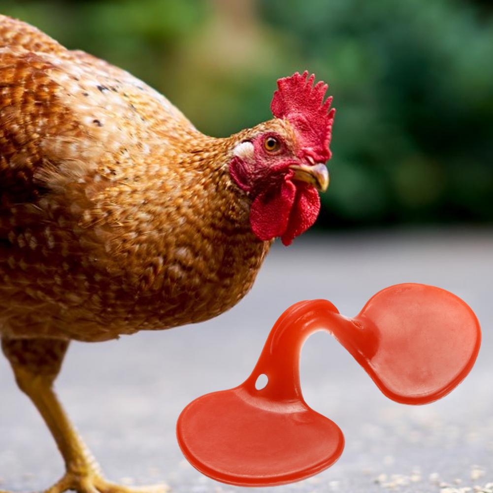 1 Set Great All-Purpose Poultry Blinders Chicken Glasses Set Plastic Chicken Glasses for Farm