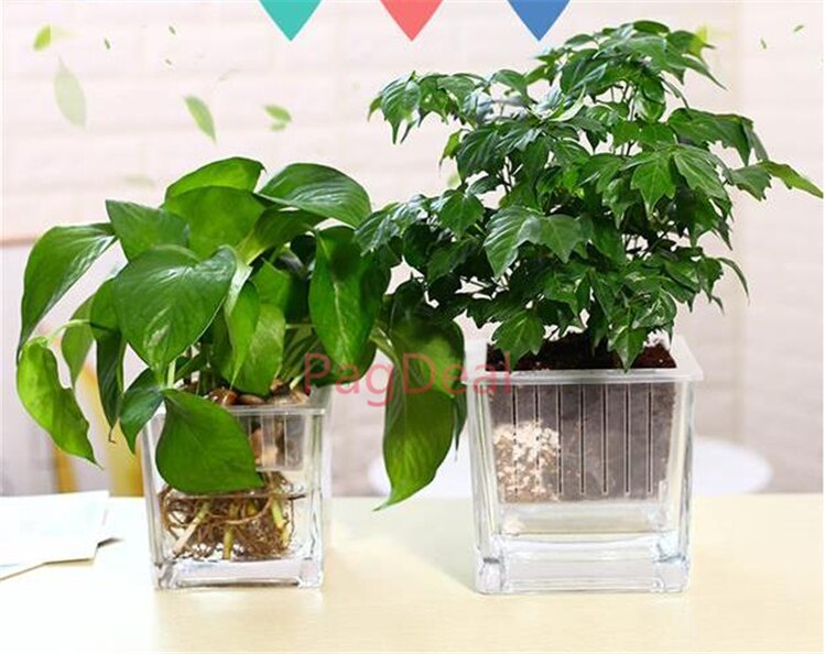10 stk 200mm store hydroponiske børnehave pot med selvvandende kapillær være reb soilless plante net kop aeroponic kurv