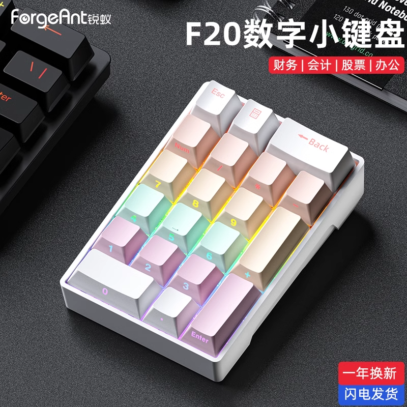 Forgeant F20 Keypad Mini Wired Numeric 20Keys External Keypads Customization ABS For Pc Computer Accessories Number Pads: Silver / blue switch