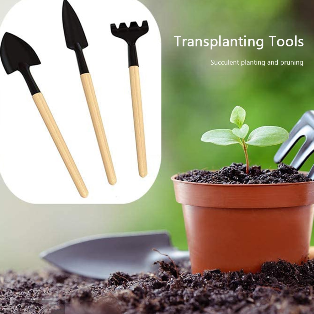 14pcs Garden Planter Kit Succulent Planting Transplanting Tools Set Transplant Seedling Tool Potted Bonsai Fertilizer Drilling