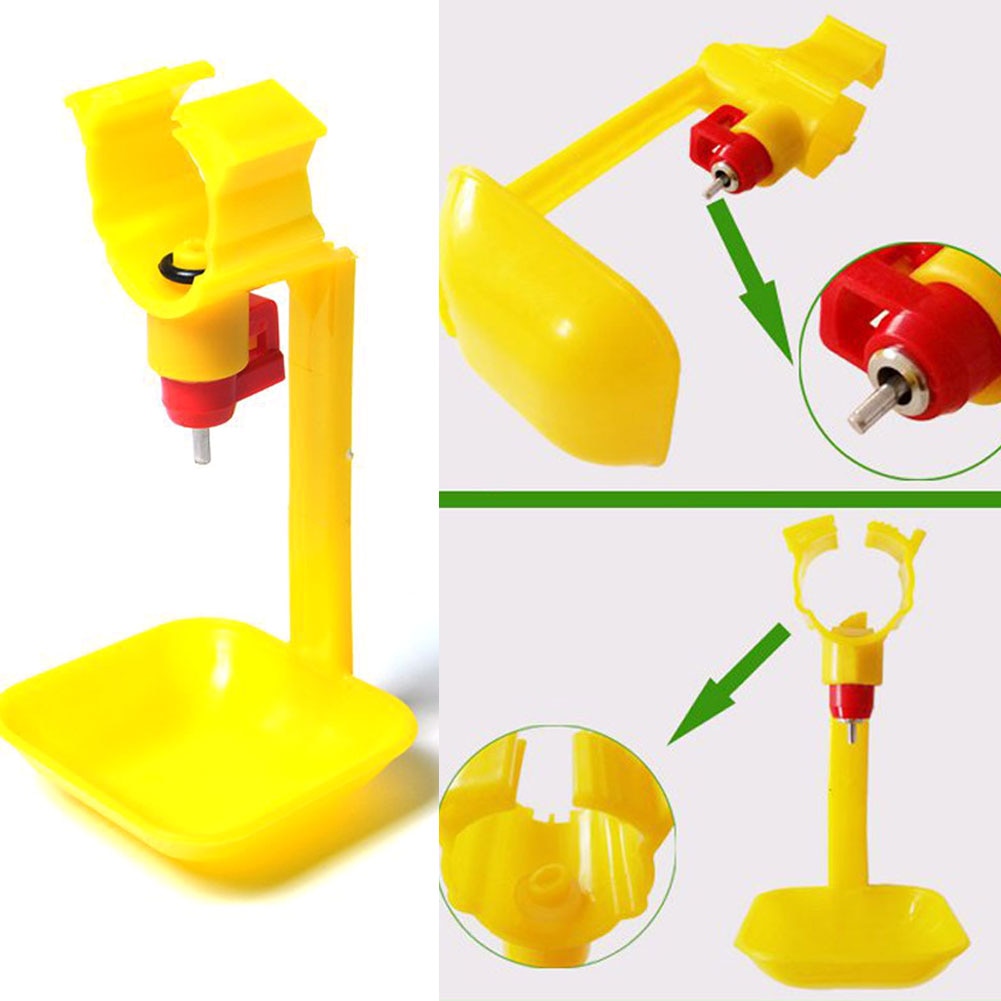 Steel Ball Drinking Home Poultry Farming Semicircular Chicken Birds Automatic Practical Water Fountain