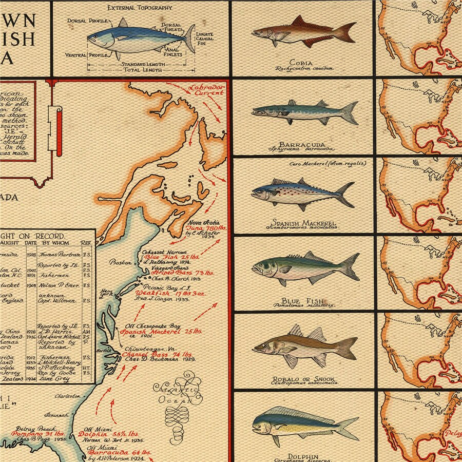 Poissons d'amérique du nord poisson graphique affiche pêcheur lac maison rétro autocollant mural Bar Pub salon décor à la maison
