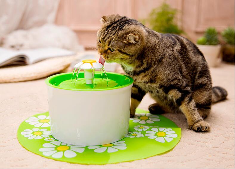 2Pcs/4Pcs/6Pcs Actieve Kool Filters Houtskool Filter Vervanging Voor Fontein Voor Kat Hond Huisdieren drink Water