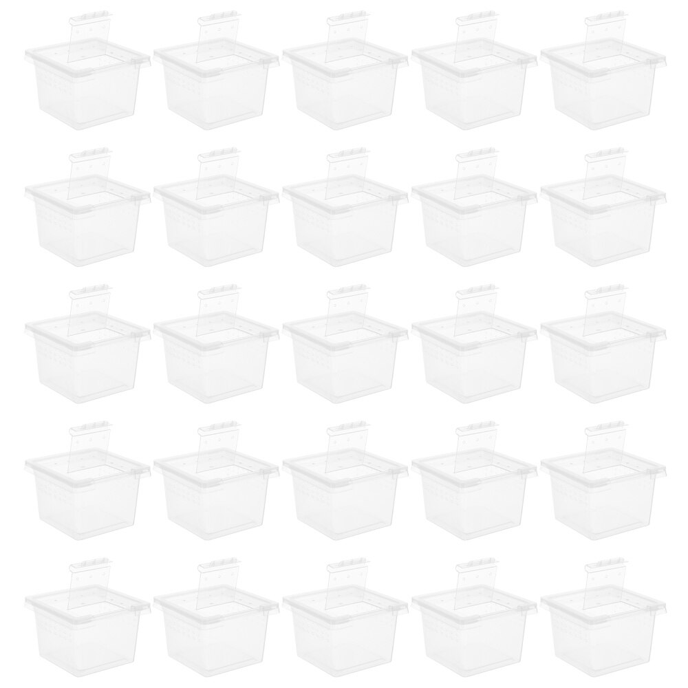 100Pcs Transparent Lizard Spider Snake Insect Cages Container: Default Title