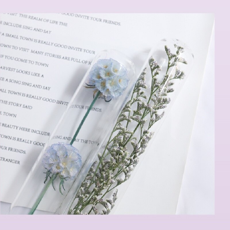 Dried Flower Glass Test Tube Decorations Family Living Room Study Specimens Ornaments