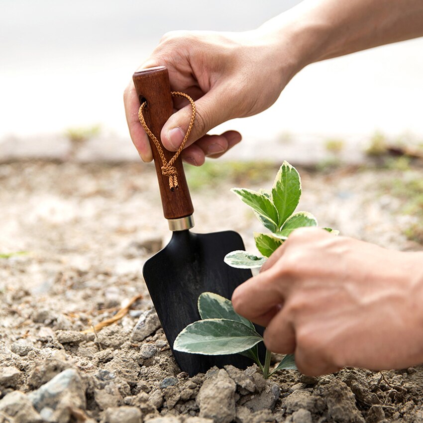 Trähandtag liten spade balkong plantering blommor ogräsrensning trädgårdsredskap hushåll köttiga krukor lös jord järn utgrävning spade