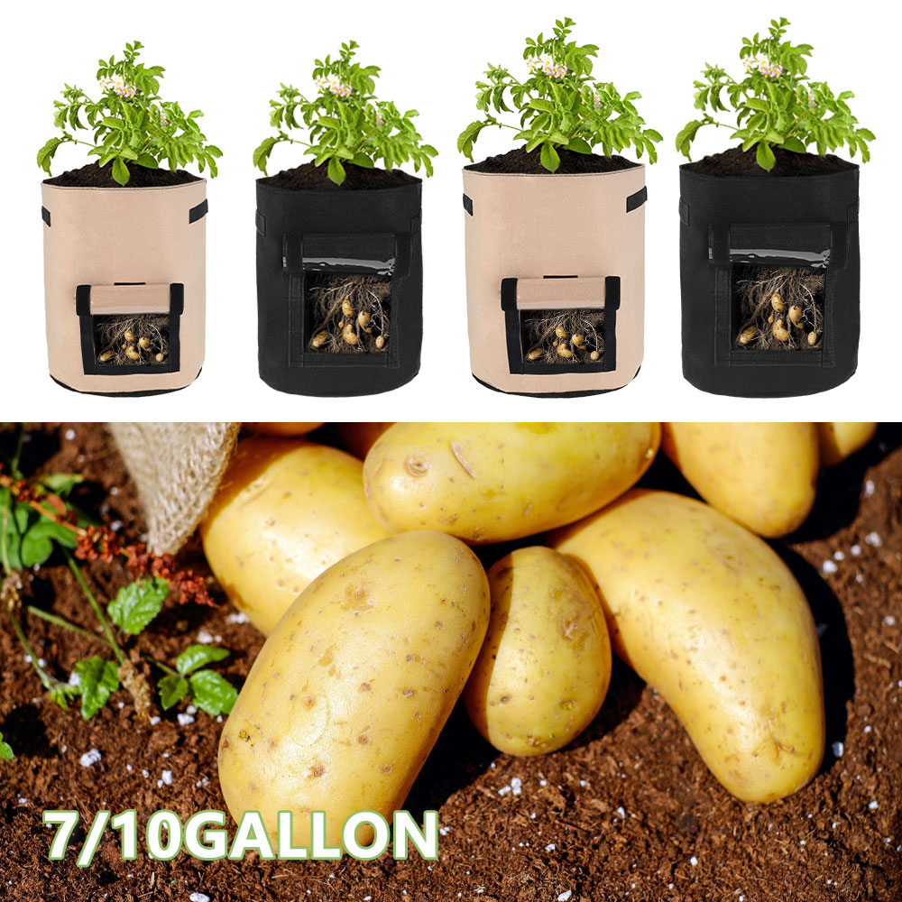 2 Size Plant Groeien Zakken Thuis Tuin Aardappel Pot Greenhouse Groenteteelt Zakken Hydraterende Jardin Verticale Tuin Zak Gereedschap