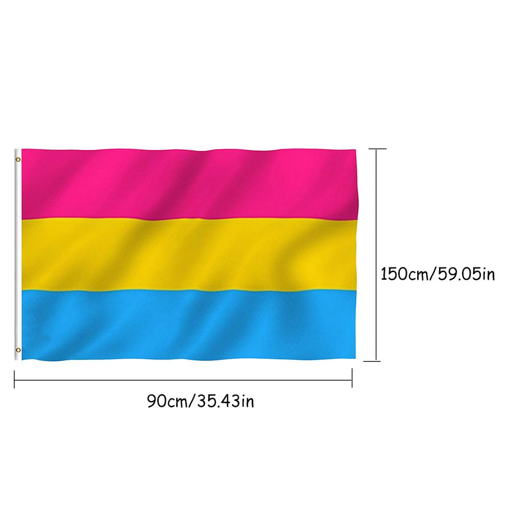 90CM x 150CM Omnisexual LGBT Stolz Pan Stolz Pan Pansexual Flagge Banner Für Dekoration Regenbogen Fahnen Banner: A