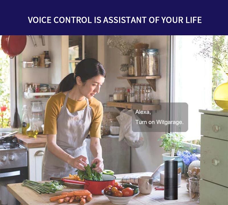 WiFi Smart Roll Up Door Smart Remote Opener Timer Smart Garage Door Switch Voice Control Work with Alexa Google Home