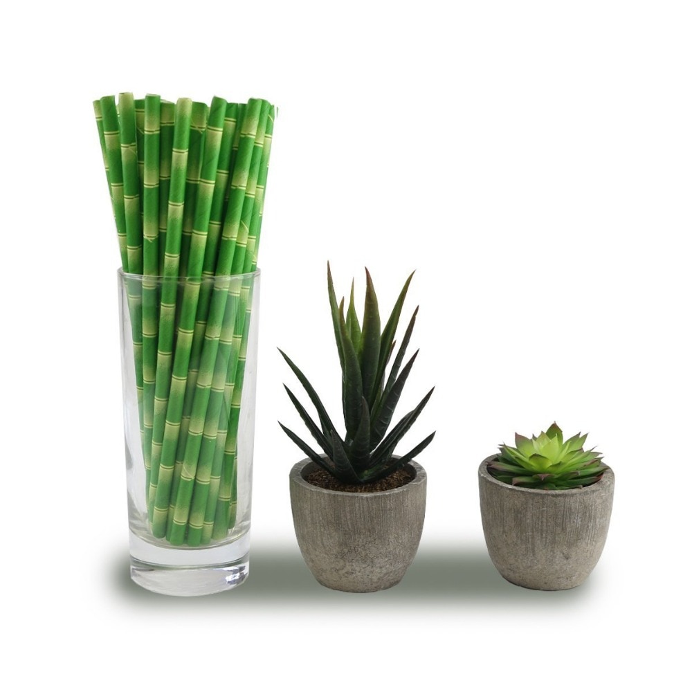 Lote de 100 unidades de pajitas verdes de papel de bambú para beber, suministros de decoración para fiestas, accesorios para bebidas de cóctel