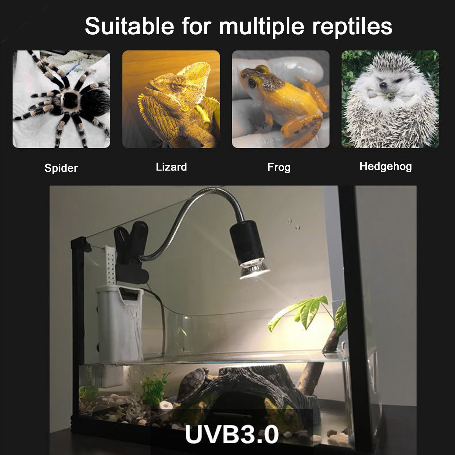 impostato di lampade per rettili lampada UVB 3.0 con lampadina a clip portalampada termometro igrometro tartaruga tartaruga lampada crogiolarsi kit lampada di calore