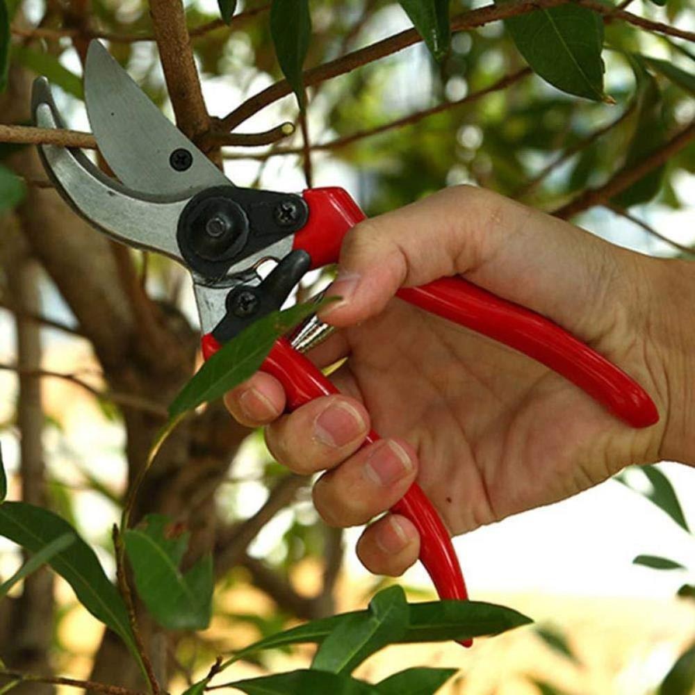 High-efficiency Lightweight Stainless Steel Labor-saving Garden Branch and Leaf Trimming Scissors
