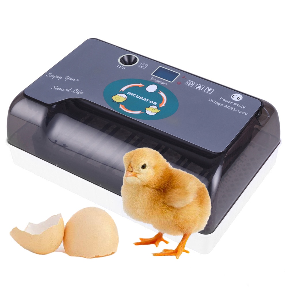 US/AU/ue/BG Plug 12 oeufs automatique ferme couvoir incubateur volaille poulet couveuse Machine nouvelle incubateur couveuse Machine