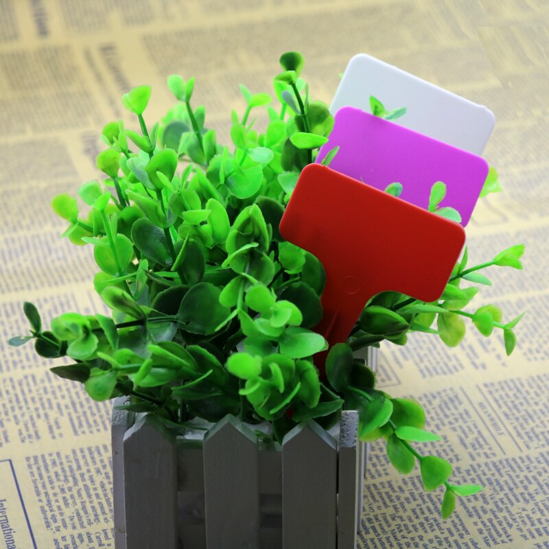 200 stk billig plast t-formet identifikasjonsmerke barnehage dekorasjon klistremerker pottemaker hage ornamenter  v1nf modifiserte planter