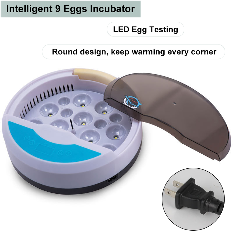 Pequeño hogar 9 incubadoras automática de temperatura constante incubadora de huevos de pollo, pato y pájaro incubadora de huevos de gallina Rutin: Azul