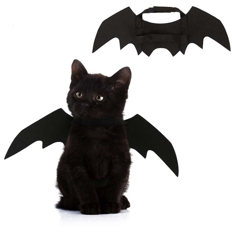 gatto costume di Halloween di Alimentazione Nero Vestito Carino Ali di Pipistrello Puntelli canna Cucciolo Gattino di Stoffa Del Capo del Vestito Operato animale vestire su accessorio