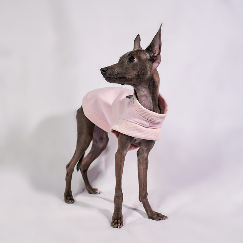 Ropa para perros pequeños, suéter de otoño e invierno cálido para lana de algodón, ropa italiana de Galgo, accesorios para perros, suministros para perros