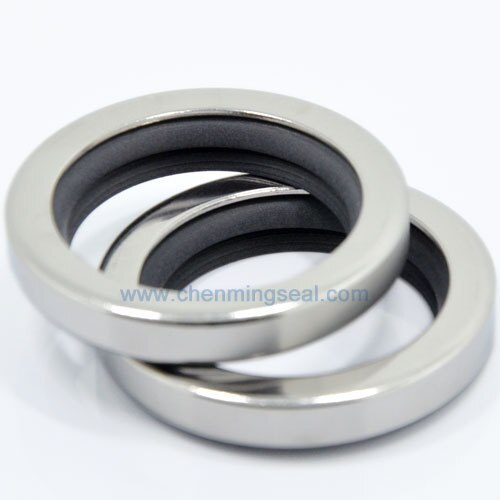 25*40*7 mm Dual Lip PTFE Oil Seals Rotary Shaft Seals with Stainless Steel Housing For Mixers Compressors Pumps Actuators