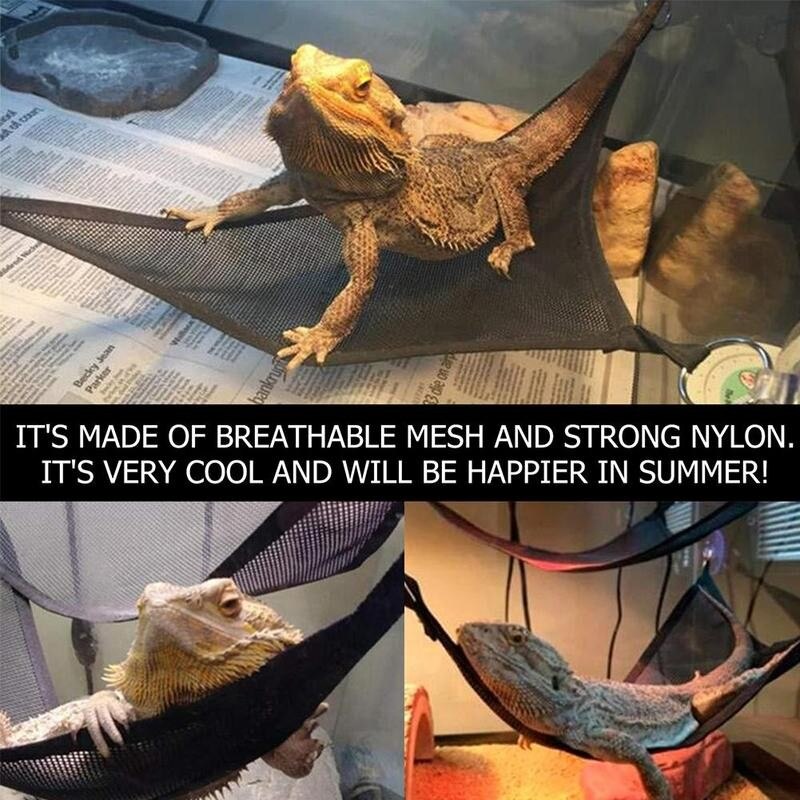 Reptile Hammock Lounger Ladder Accessories Set For Large Small Bearded Dragons Geckos Lizards Or Snakes Lizard Triangle Net 2pcs