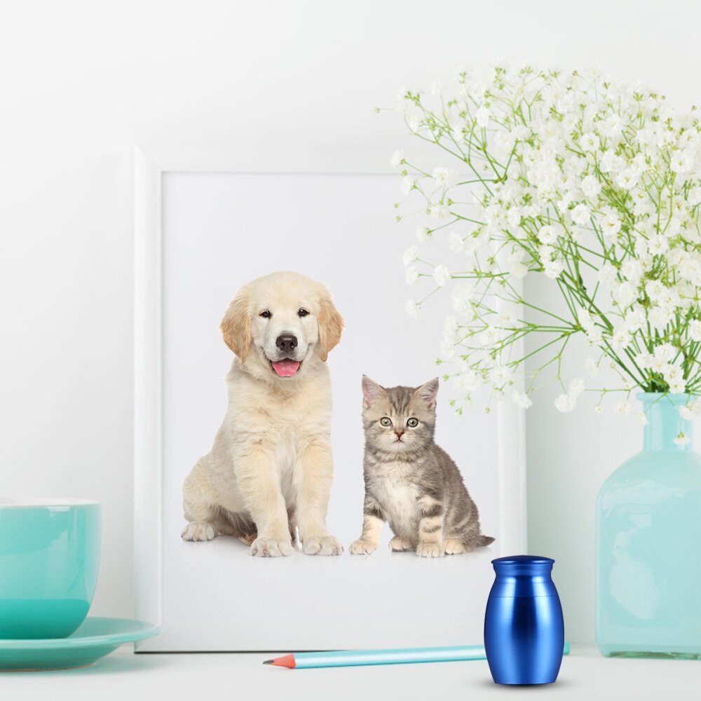 1Pc Pet Urn Stainless Steel Portable Starry Blue Cinerary Urn Funeral Casket Decent Urn for Animal Lovers Pet Dogs